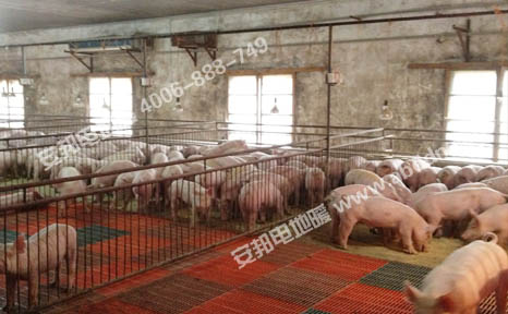 安徽绿健猪舍养殖保温发热电缆电地暖(图4)